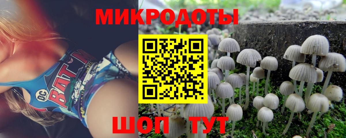 Псилоцибиновые грибы Cubensis  Вход с VPN  где найти   Галлюциногенные грибы ЛСД  Славгород 