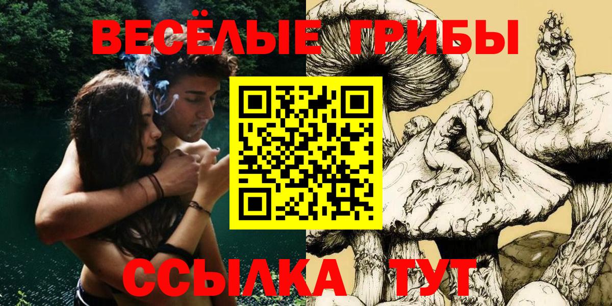 Галлюциногенные грибы Psilocybine cubensis Славгород